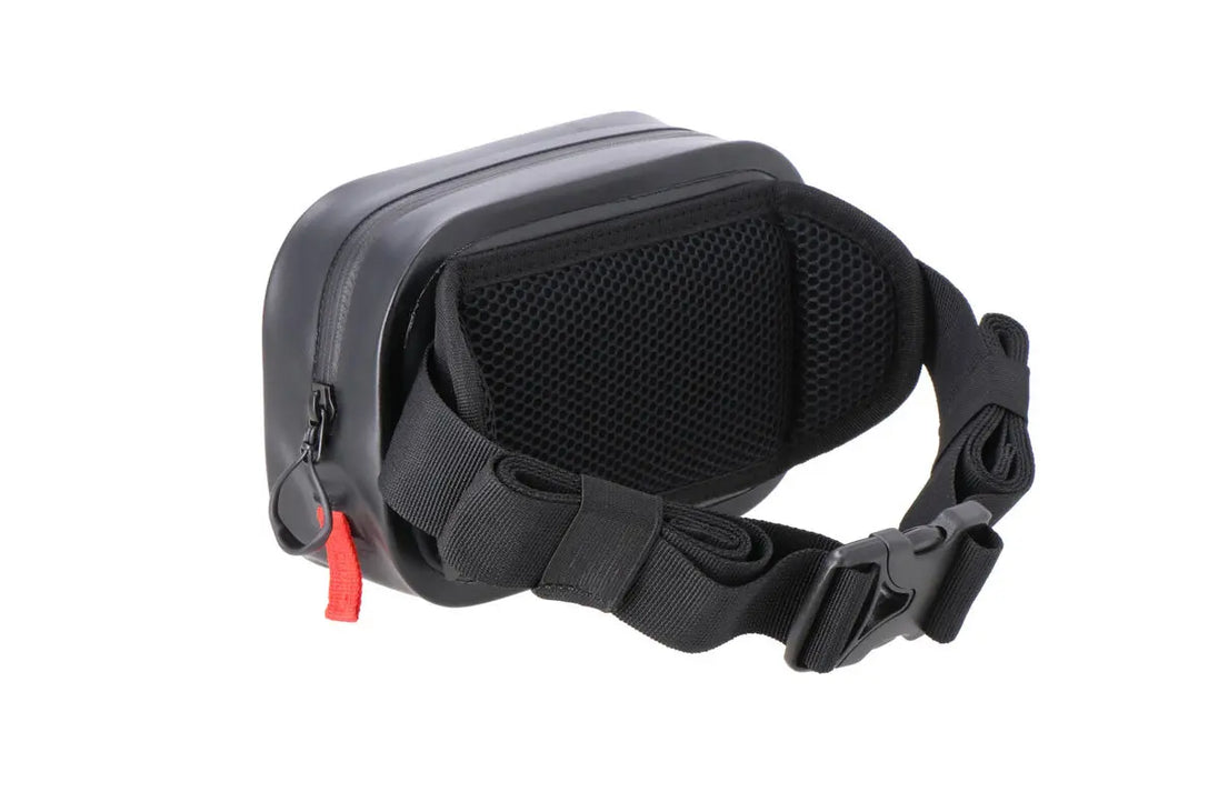 Belt WP-BC.WPB.00.005.20000