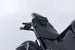 PRO BLAZE H SADDLEBAG SET ΓΙΑ KAWASAKI Z 900 / Z 900 ABS '17–'24 | SW-MOTECH-BC.HTA.08.740.36500